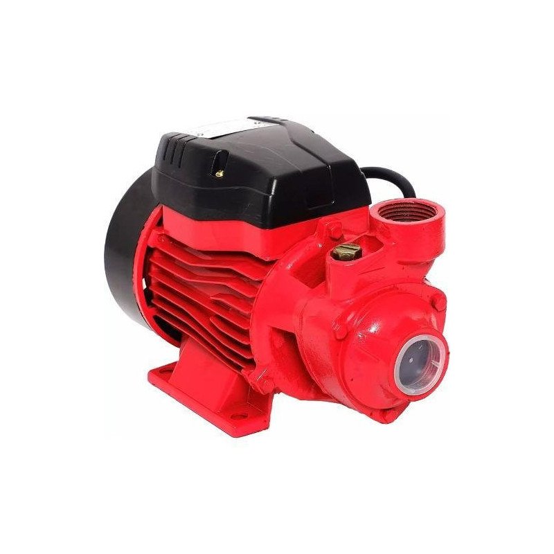 Bomba Periferica 1/2 Hp 1 X 1 370 W Altura 30 Mt 31 Lpm Impulsor De Bronce Duo-PKM60